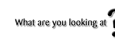 What are you looking at?